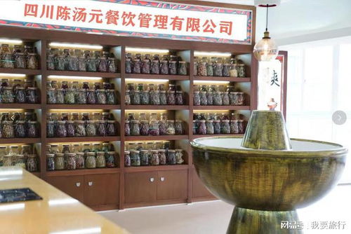 成都與重慶火鍋底料加工廠及餐飲服務(wù)概況